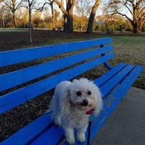 Meet your Posher, Martha